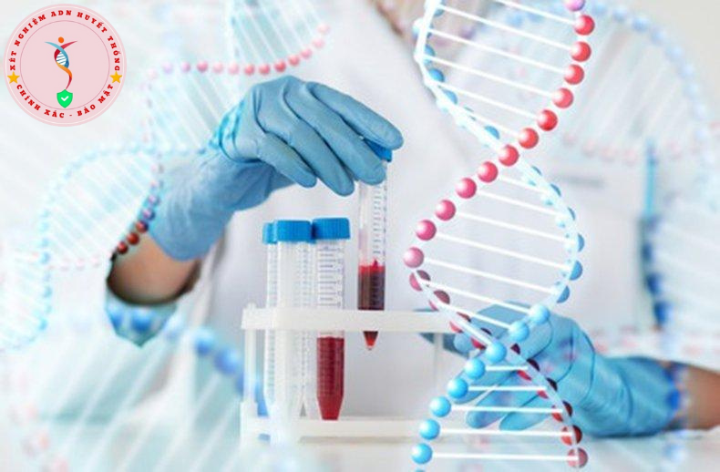 Kết quả xét nghiệm ADN. Những yếu tố ảnh hưởng